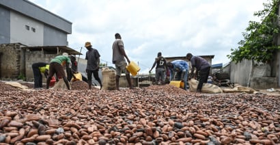 Cocoa prices hit $10,000 per metric ton for the first time ever