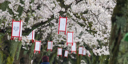 Japan launches bullet train service to a region that 'guidebooks rarely mention'